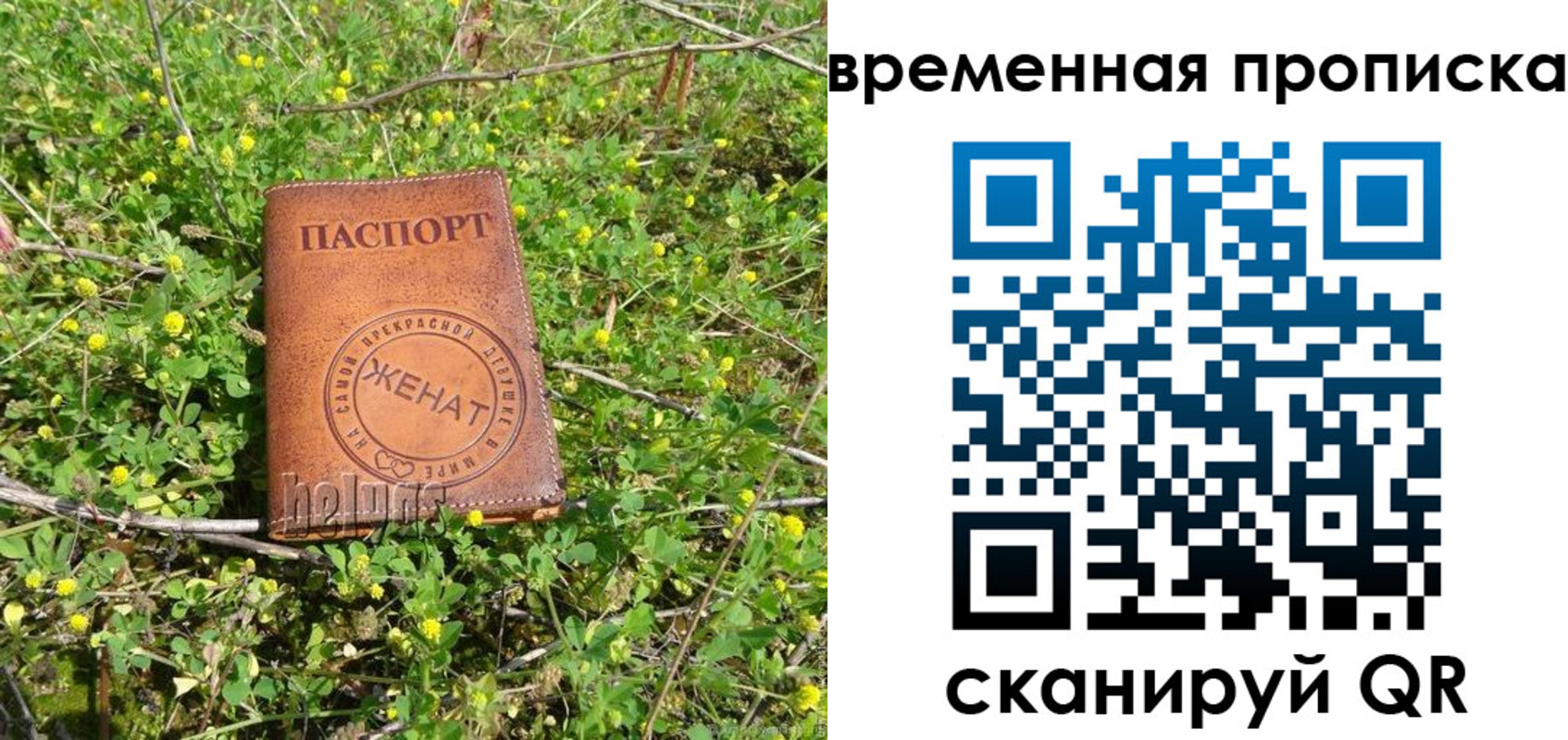 форма 3 в Губахе